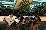 Networking